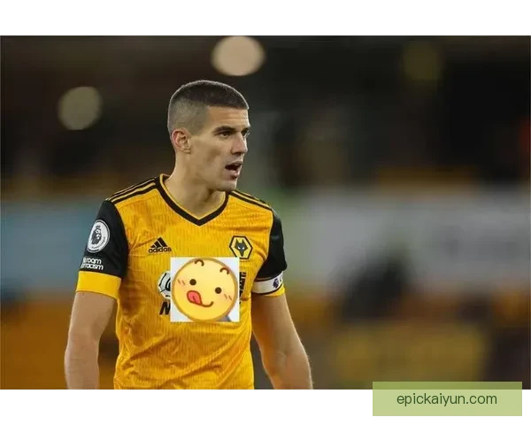 布鲁诺比赛影响指数持续提升，表现稳健备受关注